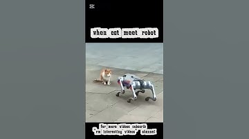dog/cat meets a robot, fear ? #trending #wildlife #shorts #roboticdog #robotpet