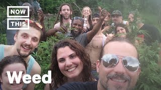 Higherway Travel Agency Books Cannabis Getaways | NowThis
