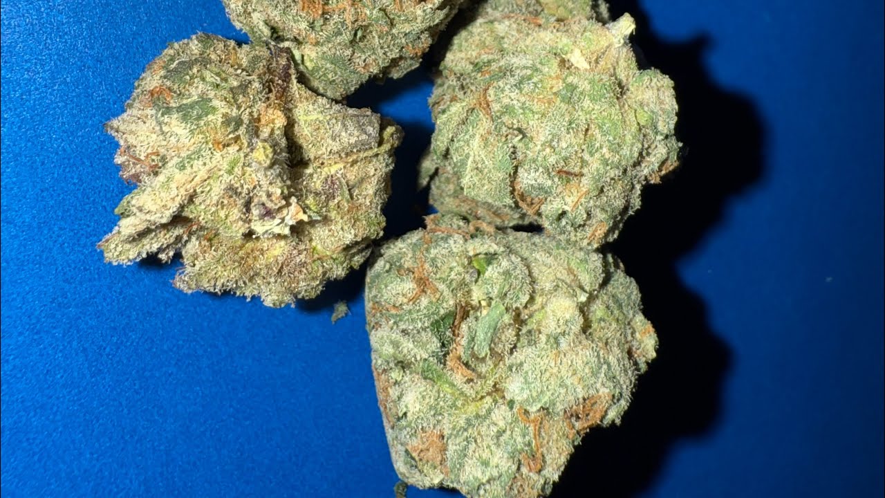 Chiquita og -24.6%thc by knack (fluent cannabis cafe)