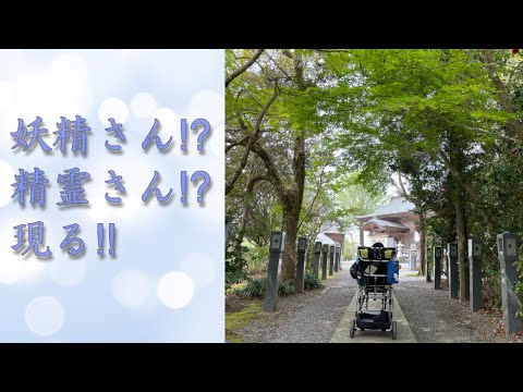 妖精さん 精霊さん 現る Youtube