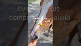 Só pastel torradinho agora kkk #cavalo #cavalos #pecuarista #horse #fazenda #cavaloshow #agro #agro