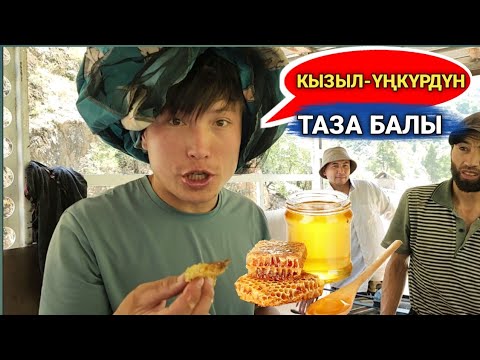 Video: Үңкүрдүн аллегориясында эмне болот?