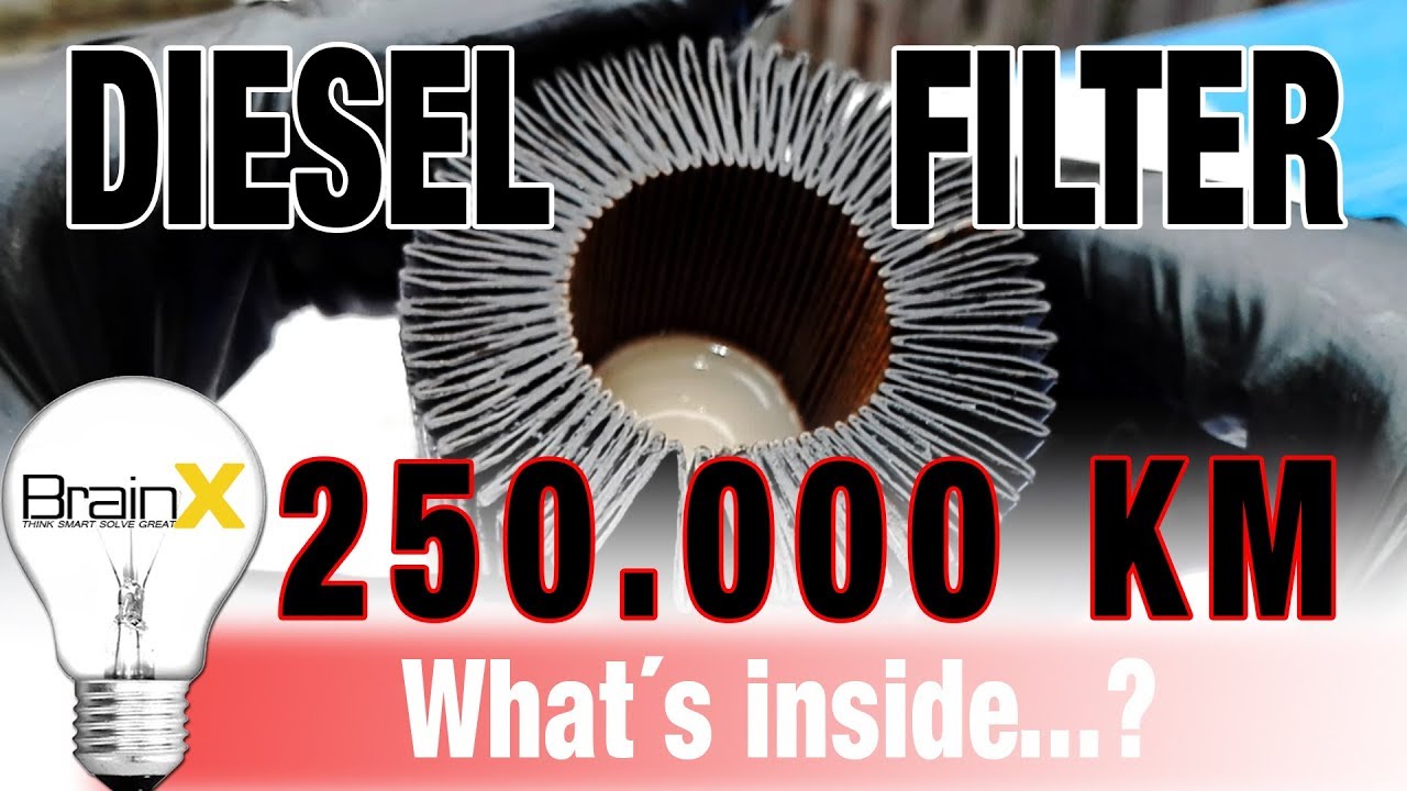 Kraftstofffilter Dieselfilter nach 250.000 Km und 10 Jahren geöffnet -  What´s inside ? 