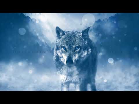 Nightcore Wolves (Lyrics)