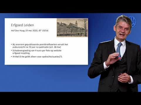 Auteursrechtspraak 2020 deel 2 | Prof. Visser | JPAO Leiden