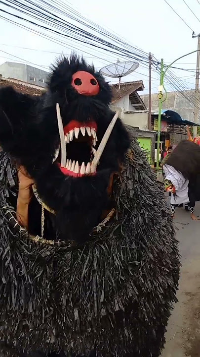 Arak Arakan Barong Banyuwangi Keren Sekali