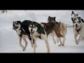 Husky sledging tour in Murmansk, Northern Russia