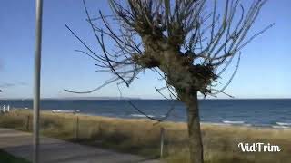 Ostseebad Göhren auf Rügen am 17.2.2024