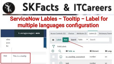 Servicenow Lable - Tooltip - field for multi language- Most Important topic #skfacts #Servicenow