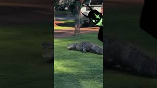 You can’t walk that here