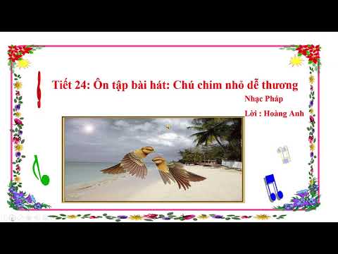 Âm nhạc (Tuần 24): Ôn tập bài hát: Chú chim nhỏ dễ thương - Lớp 2