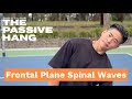 Learn the Frontal Plane Spinal Wave