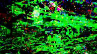 Omg Guest 2000 V468474666.Avi