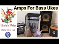 Amplifiers For Bass Ukuleles - The Basics About Amps For Your U-Bass