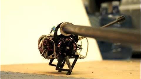 The Penn Jerboa: Tailed Hopping Robot