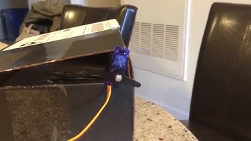 Arduino Perpetual Pendulum