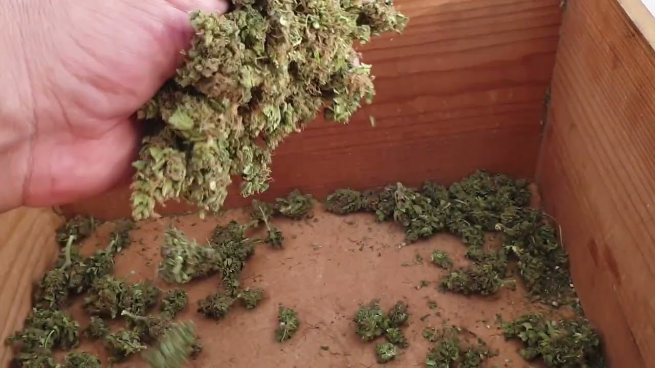 Взвешивание Maxi Gom Auto Growbarato от Мария Любит Хуана 