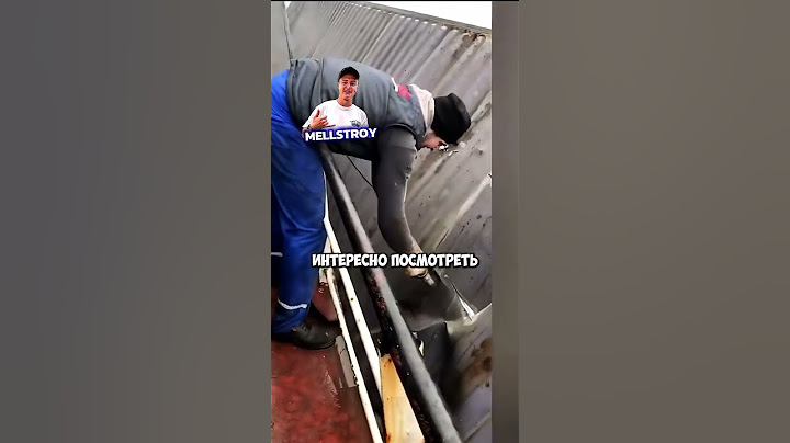 Нашли контейнер с новыми айфонами в море #shorts