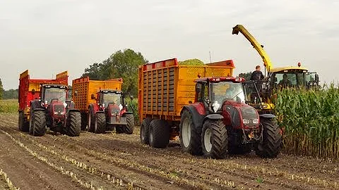 Mais hakselen | NAP uit Ede in De Klomp | New Holland FX40 | Valtra | Netherlands | 2013.