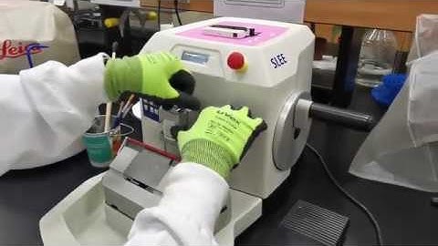SLEE Automated microtome for MLS Histopathology Lab