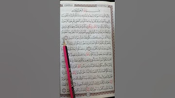 تعليم سورة الممتحنة من 2 إلى 3
