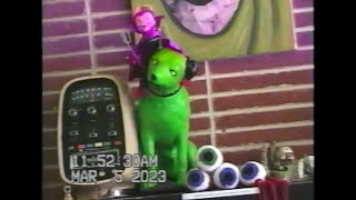 Vhs Camcorder Tour Of Re-Animated Records In La Mesa, Ca
