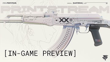 Counter-Strike 2: AK-47 | PRINTSTREAM [//END+] | IN-GAME PREVIEW