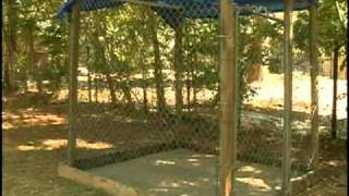 Rankin County Pit Bull Battle