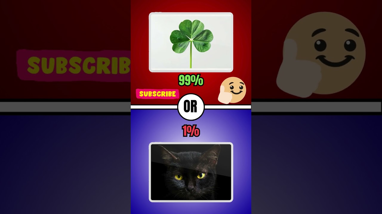 Would You Rather – Which One Would You Choose? 