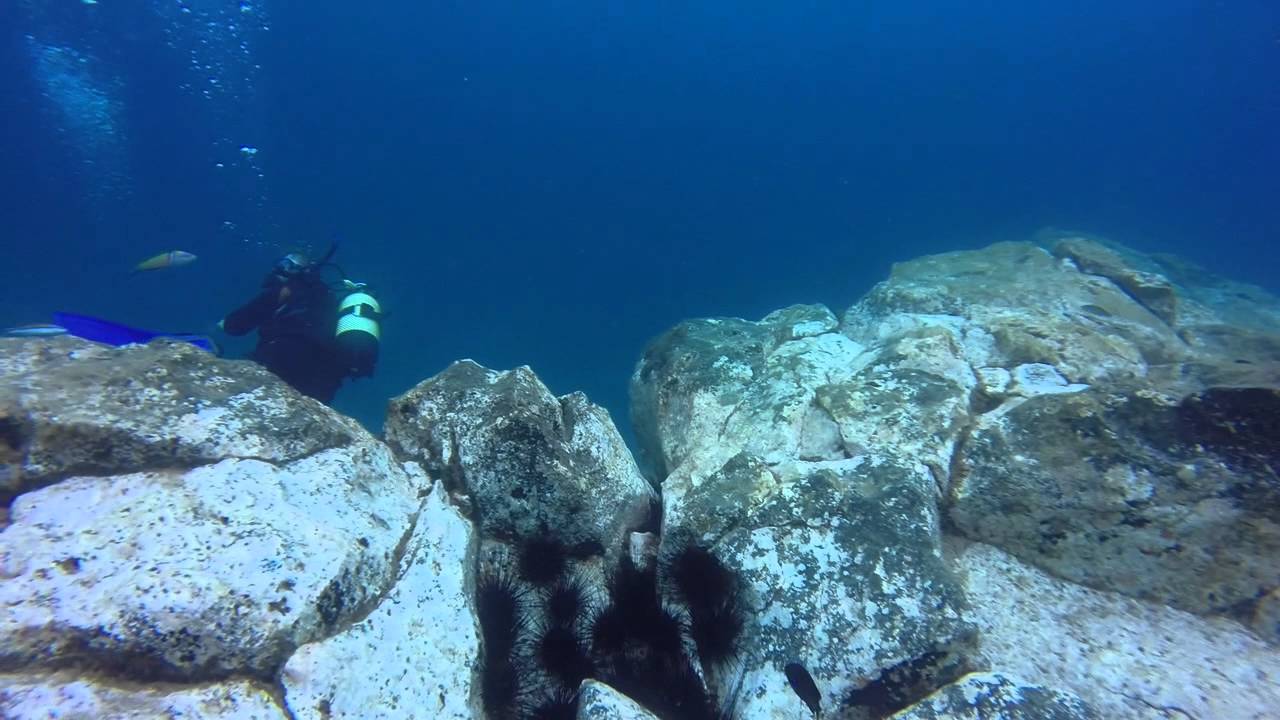 Tauchen Teneriffa 2014 Diving Tenerife - YouTube