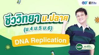 มอง DNA Replication ให้เป็นเรื่องง่าย!!😮