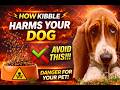 How to Raise a 20-Year-Old Dog | What Your Vet Won’t Tell You with Holistic Vet Dr. Nick Thompson