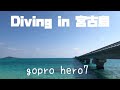 ダイビング ＊ diving gopro 【宮古島】