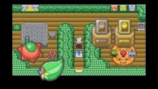 What Happens When You Complete Battle Frontier In Pokemon Emerald