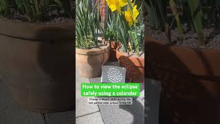 How to safely view the eclipse with a colander #shorts