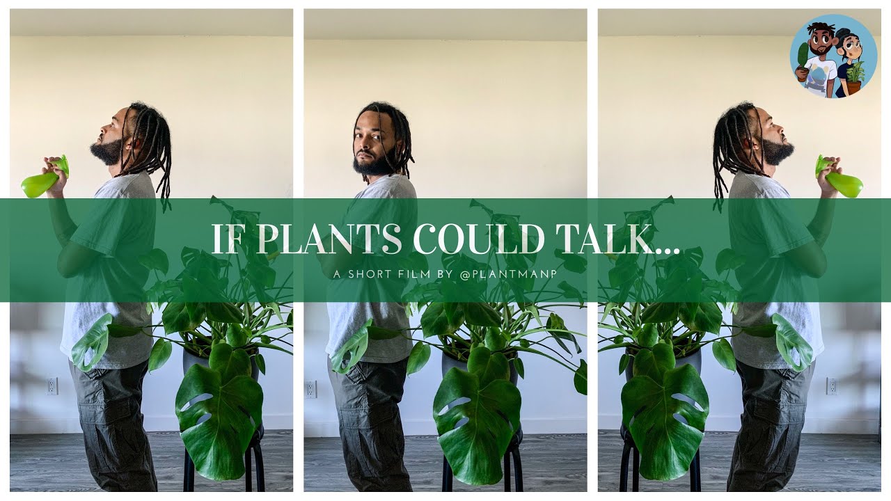 If Plants Could Talk Short Film Youtube<script async src=