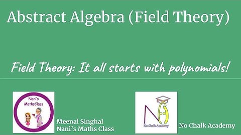#14 Field Theory : It all starts with polynomials!