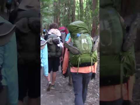 The Way of St  James