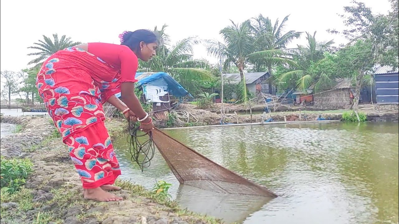 Unbelievable Cast Net Fishing Video | Amazing women Fishing With Catch ...