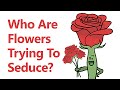 Pollination Strategies and Adaptations