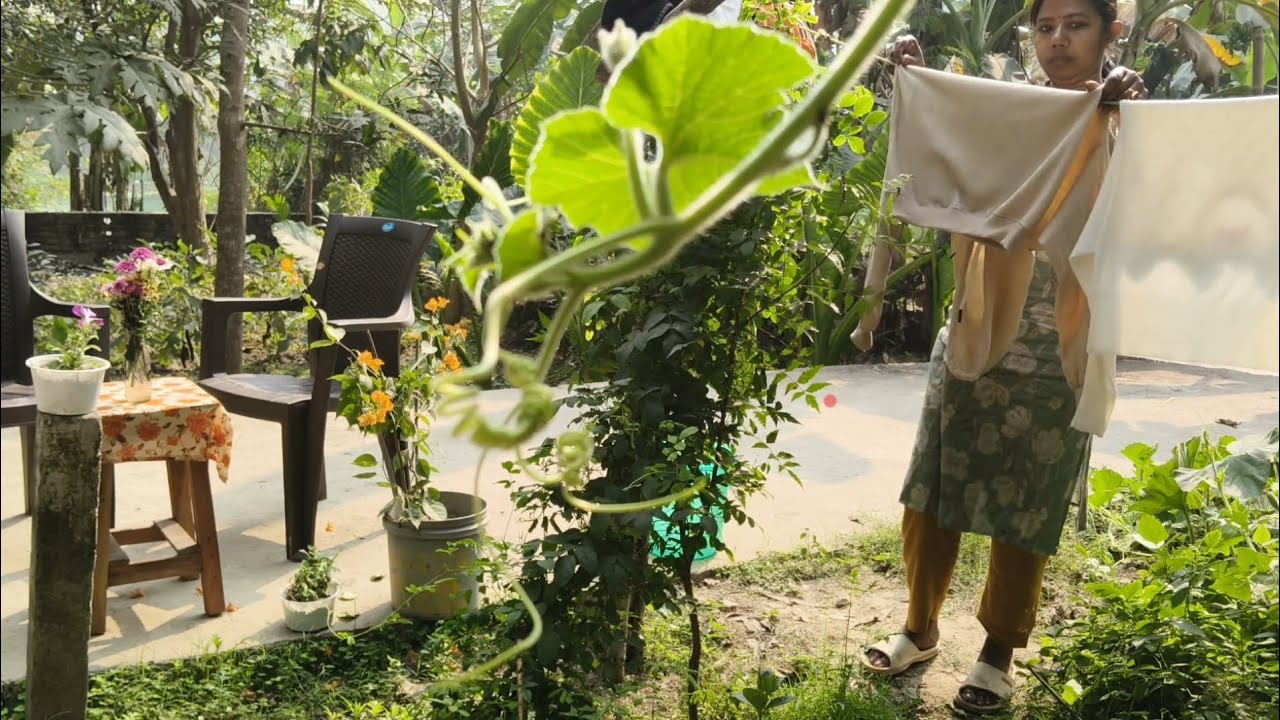 Simple village life vlog🏡🌿🍆🫜☕🍲🌸🌹