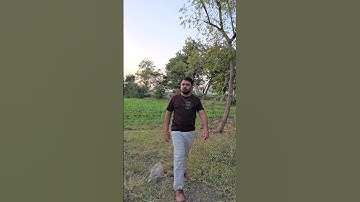 #music #dhurandhar #rehmandakait #love #akshayekhanna #gujaratimovie #rehmandakaitentry #god