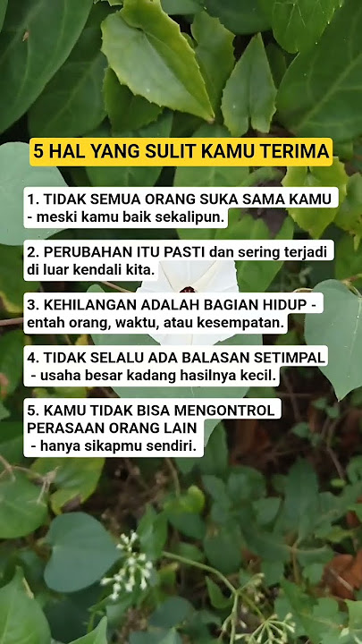 5 HAL YANG SUSAH KAMU TERIMA #quotes #motivasi #storyharian #storywa #moneymindset #trustonallah