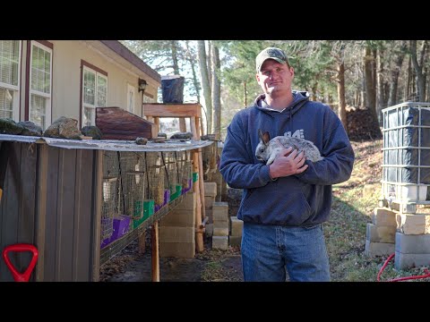 Very Important Rabbit Update + Plans For Our Future Rabbitry | Update On The Fertilizer Sled