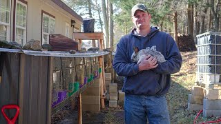 Very Important Rabbit Update + Plans For Our Future Rabbitry | Update On The Fertilizer Sled