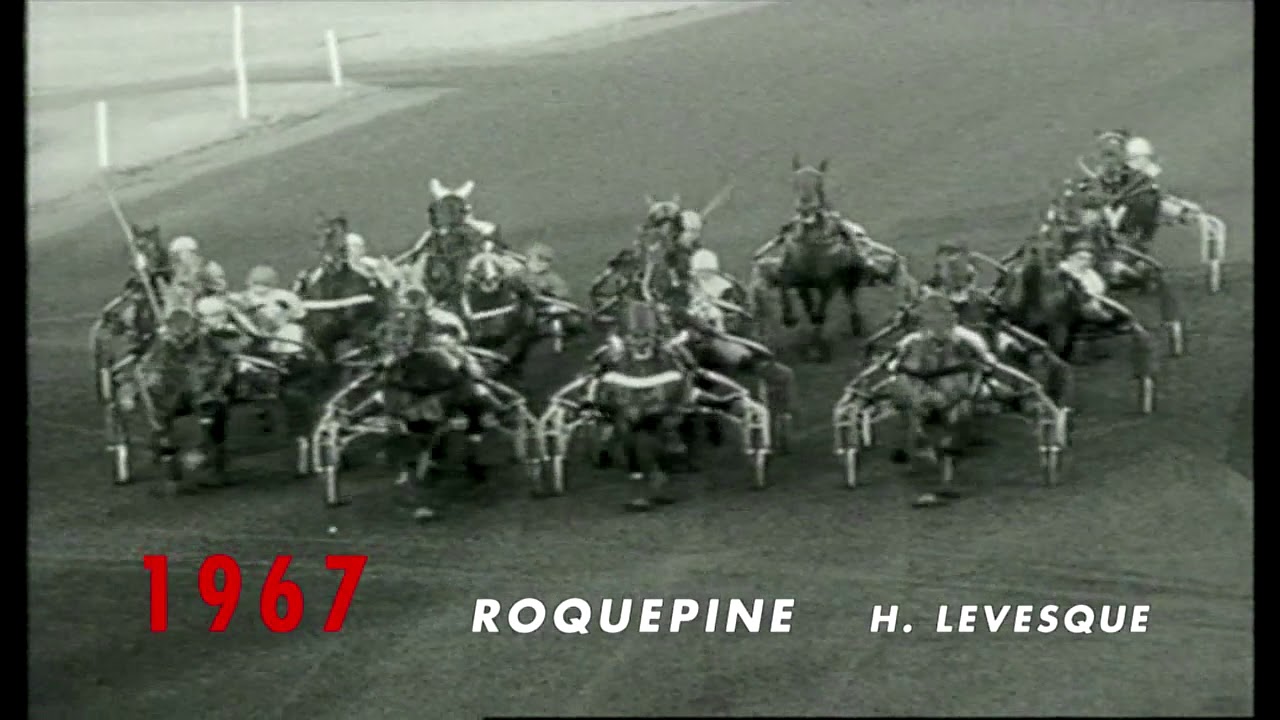 Plaque De Concours Hippique 1er Prix – Ville De Pierrelate 1967 – Vintage