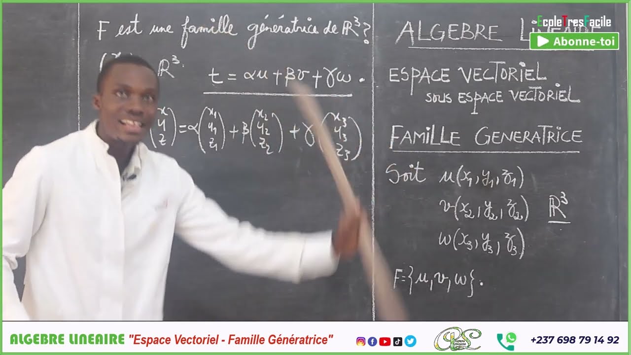 Algèbre Linéaire #7- Espace et Sous Espace vectoriel : Famille Génératrice