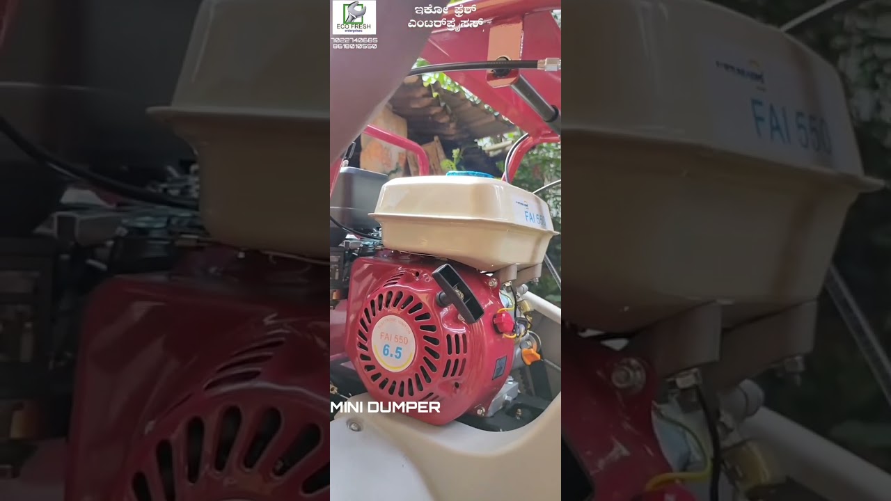 Mini dumper FAI 550 with Erma200 engine - 8618010550