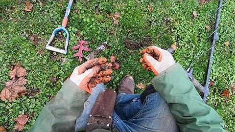 LIVE DIG ACTION!! Simplex SP24 tearing it up in the trash.