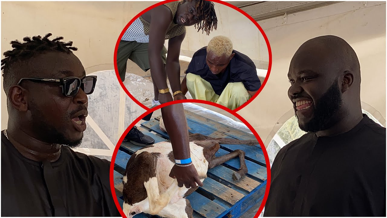 🛑concour togou 2stv s: boucher et aladji  mbaye metshop todji nagniou ko